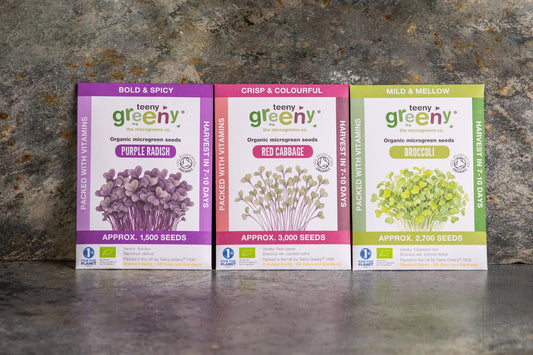 Teeny Greeny organic Vitality Set microgreen seed packets standing upright showing Purple Radish Red Cabbage and Broccoli on slate background