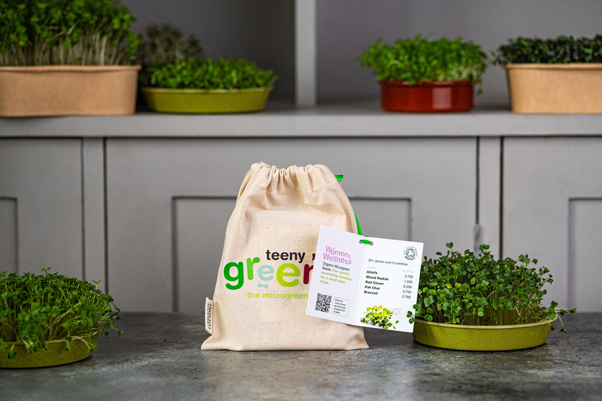 Women’s Wellness Organic Microgreens | 5 Seed Set | Gift Edition