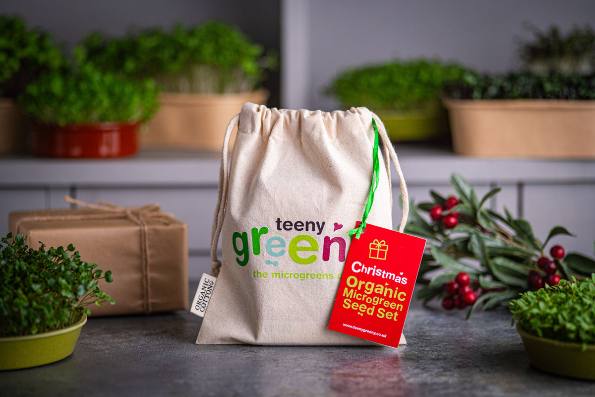 Christmas Organic Microgreens | 5 Seed Set | Gift Edition