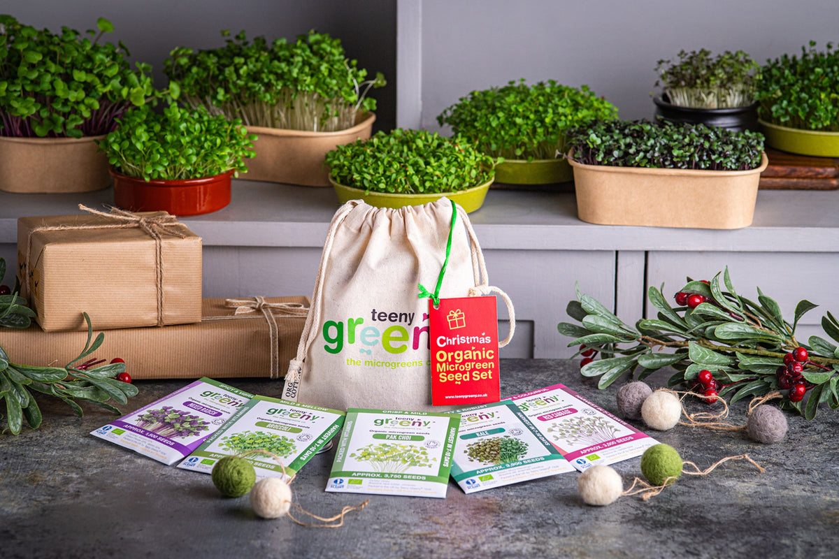 Christmas Organic Microgreens | 5 Seed Set | Gift Edition