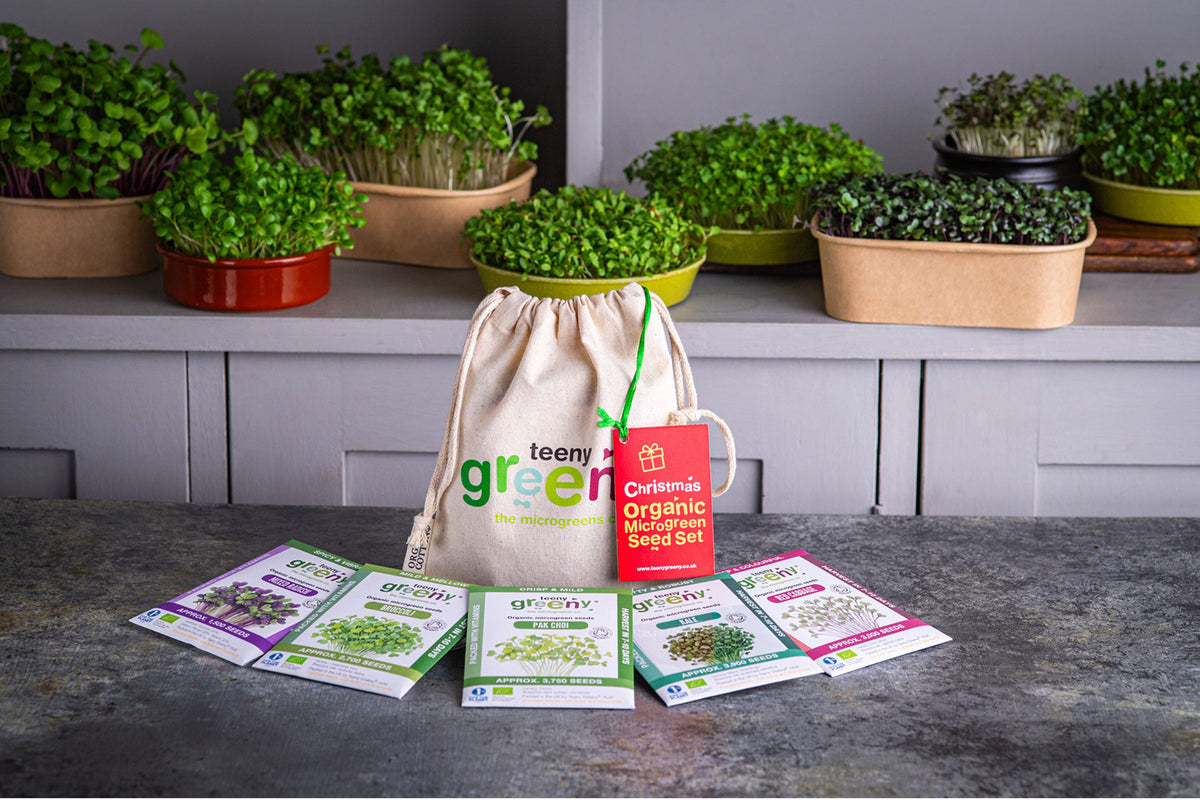 Christmas Organic Microgreens | 5 Seed Set | Gift Edition