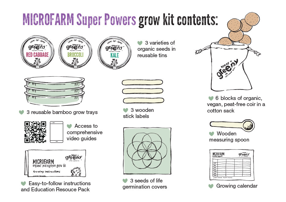 Contents of Superhero Kit